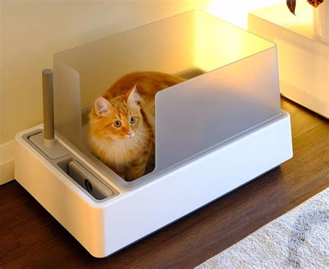 best odor control cat litter|6 Best Cat Litter for Odor Control in 2024 – tuft + paw.